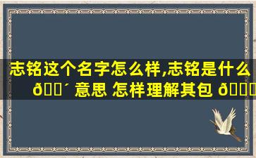 志铭这个名字怎么样,志铭是什么 🌴 意思 怎样理解其包 🐅 含的意义